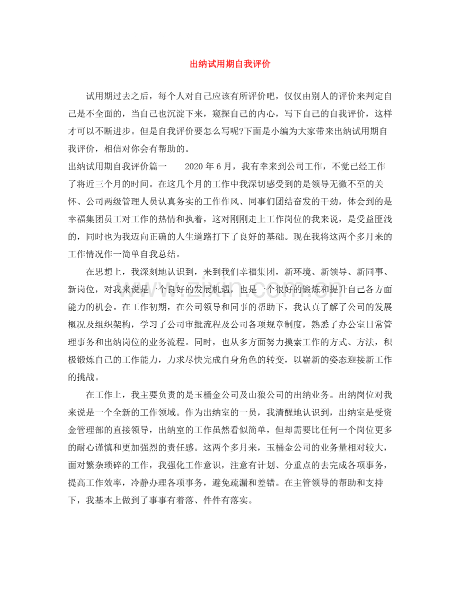 出纳试用期自我评价.docx_第1页