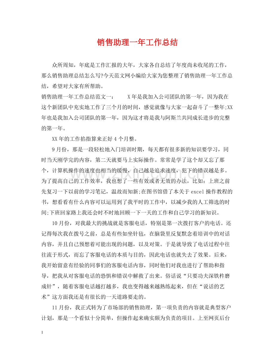 销售助理一年工作总结.docx_第1页