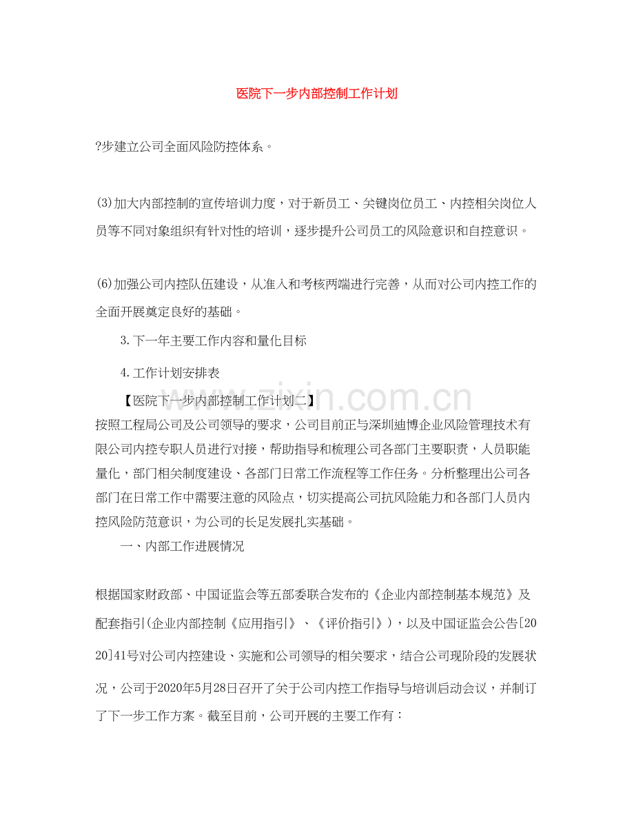医院下一步内部控制工作计划.docx_第1页