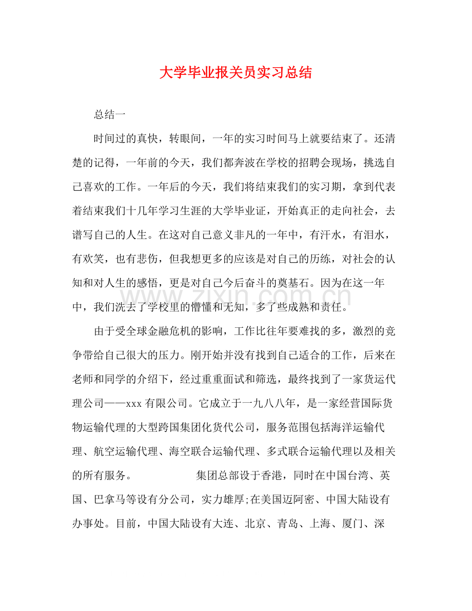 大学毕业报关员实习总结.docx_第1页