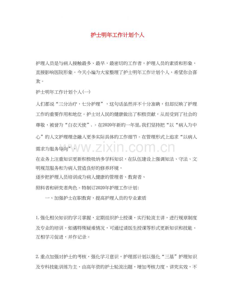 护士明年工作计划个人.docx_第1页