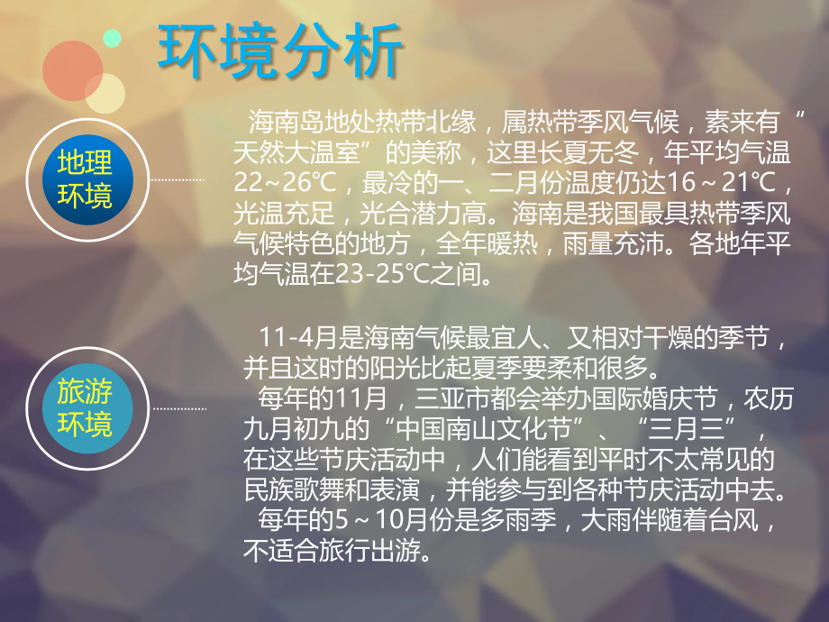 海南旅游策划.ppt_第2页