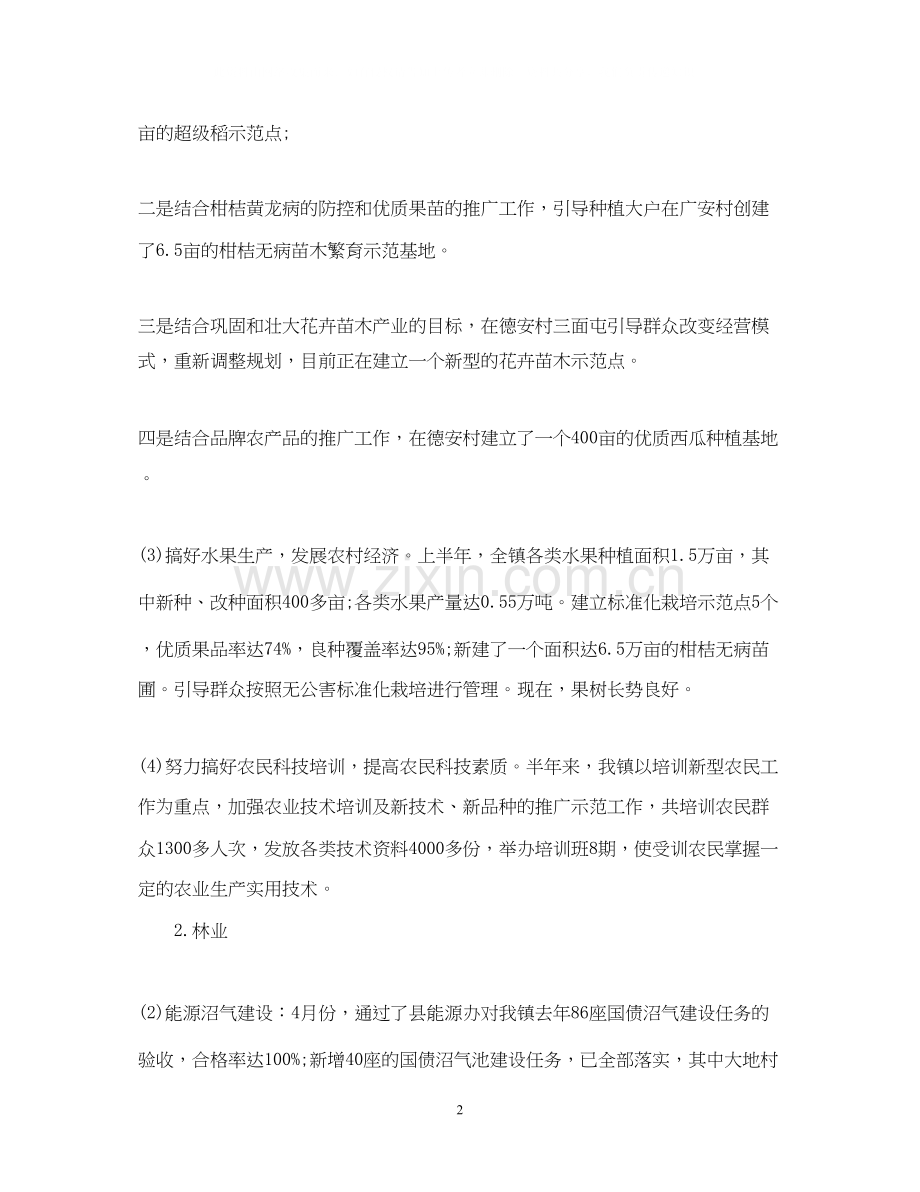 乡镇上半年工作总结及下半年工作计划2.docx_第2页