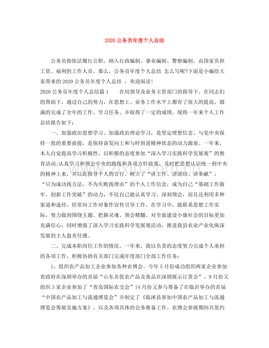 公务员年度个人总结.docx_第1页