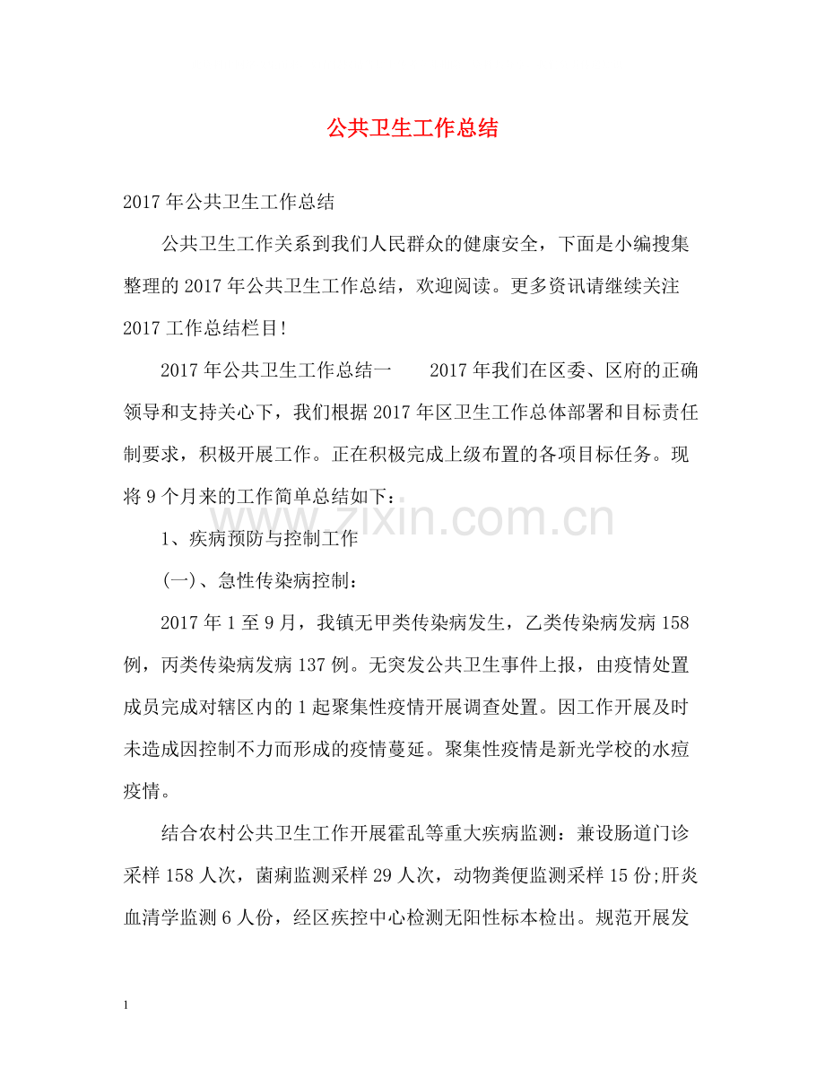 公共卫生工作总结22.docx_第1页