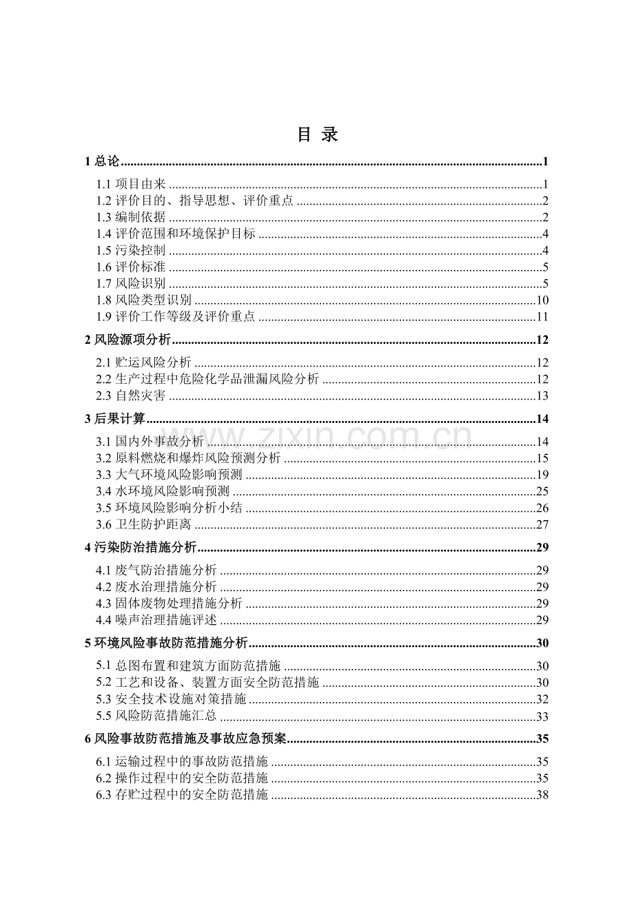 液体燃料6万ta生产项目甲醇环境风险专题（环境风险专题评价）.doc_第2页