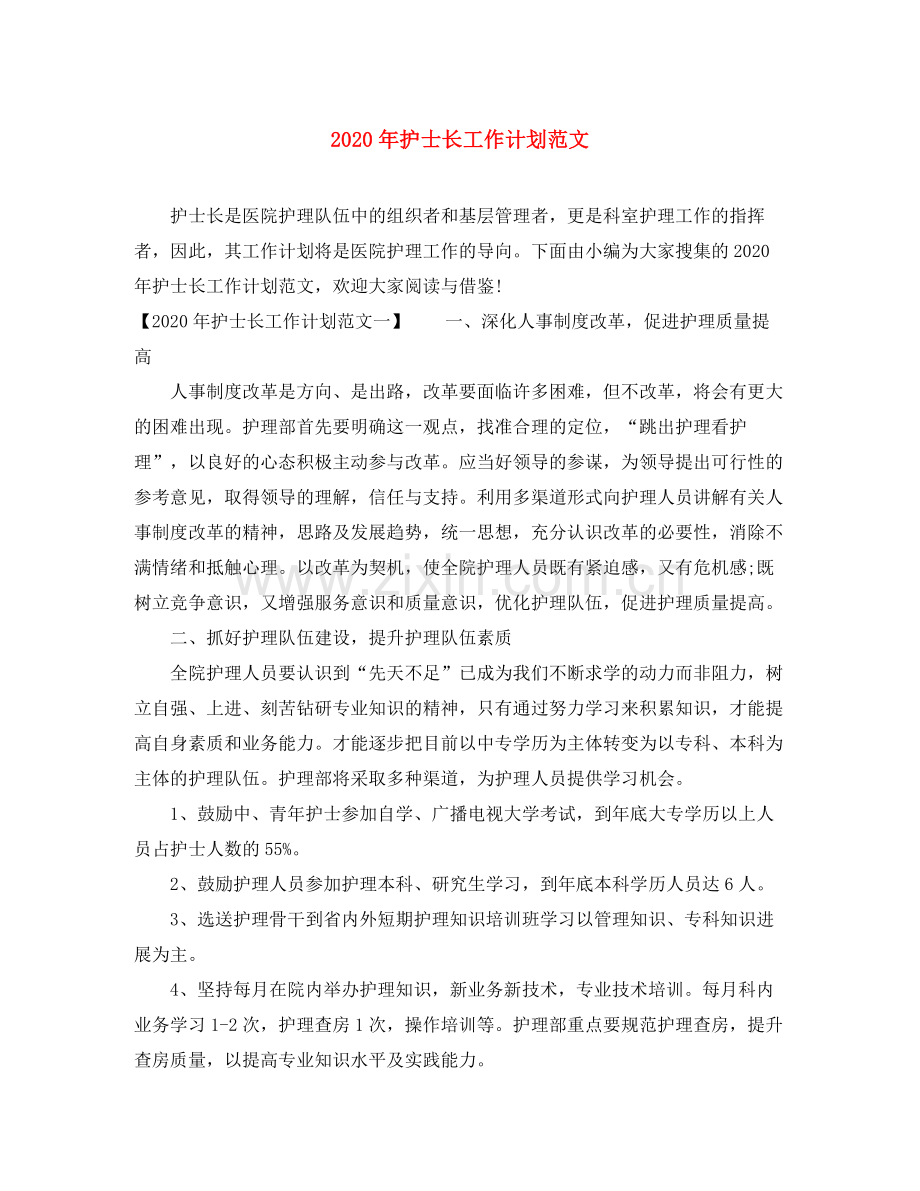 2020年护士长工作计划范文.docx_第1页