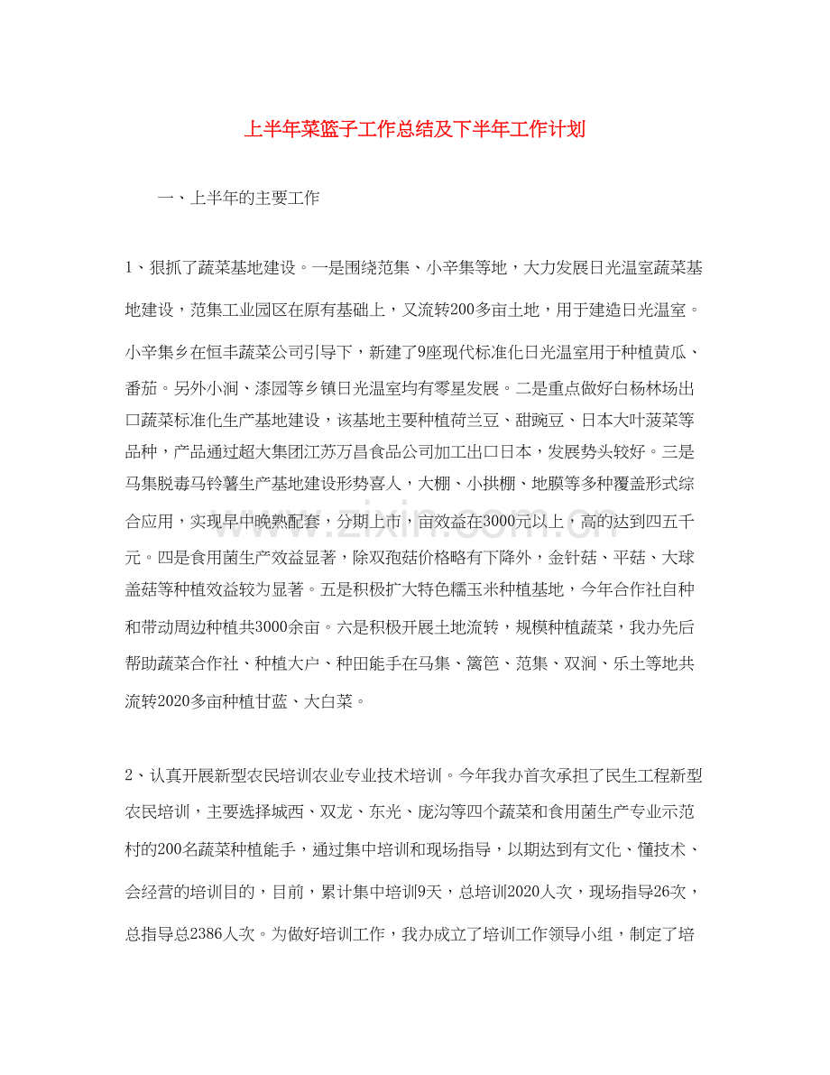 上半年菜篮子工作总结及下半年工作计划.docx_第1页