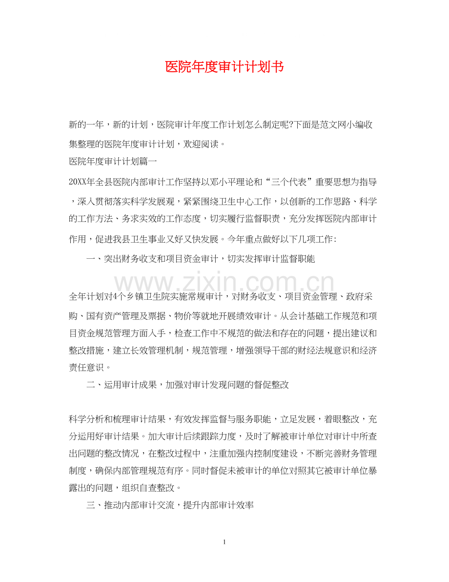 医院年度审计计划书.docx_第1页