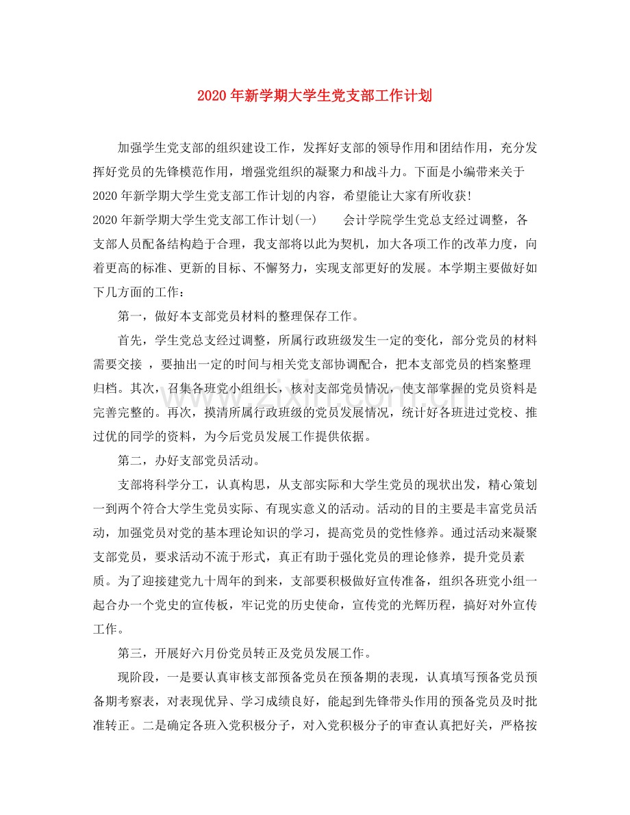 2020年新学期大学生党支部工作计划.docx_第1页