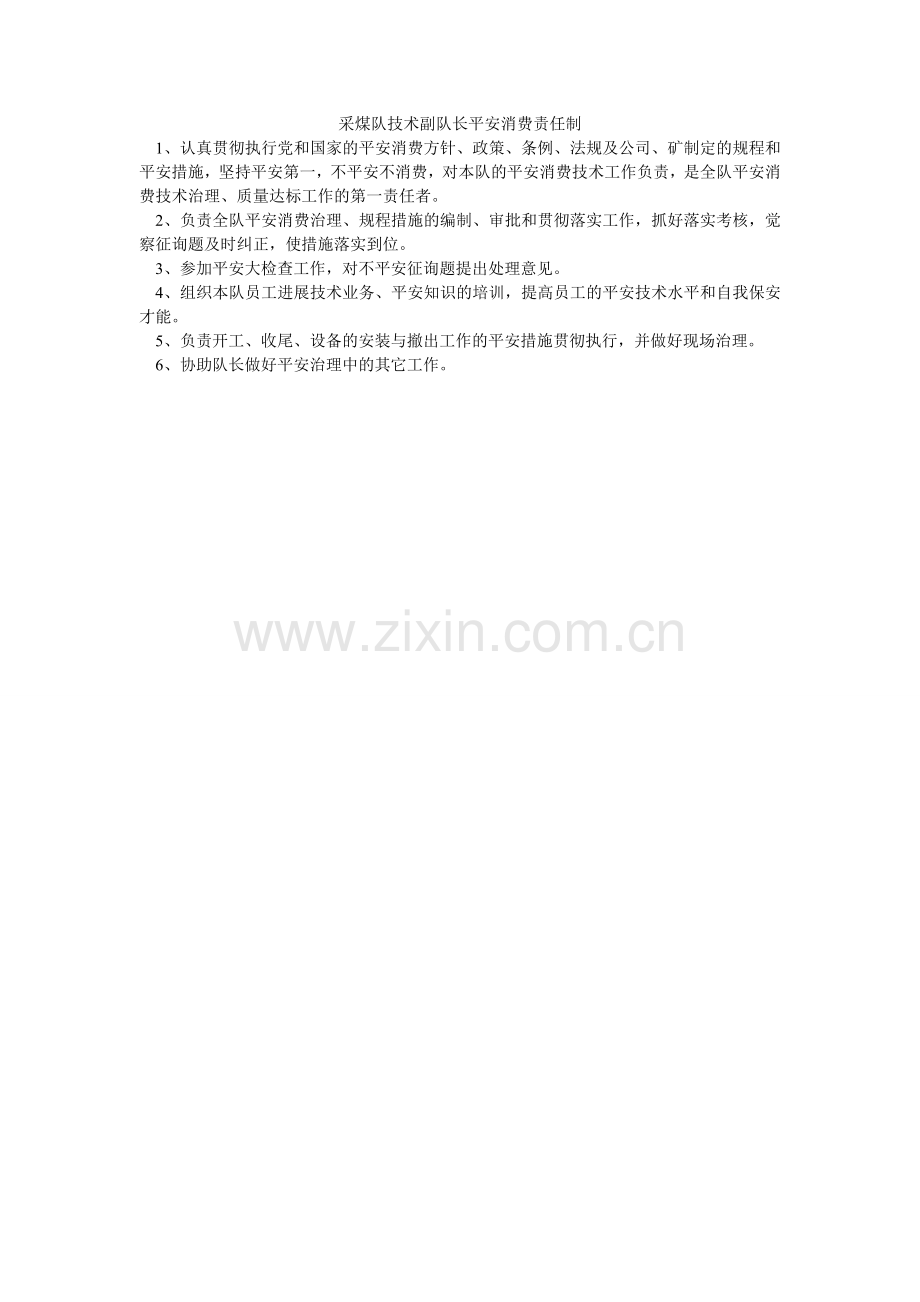 采煤队技术副队长安全生产责任制.doc_第1页