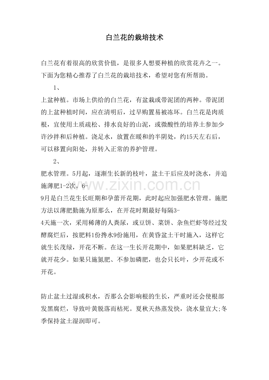 白兰花的栽培技术.doc_第1页