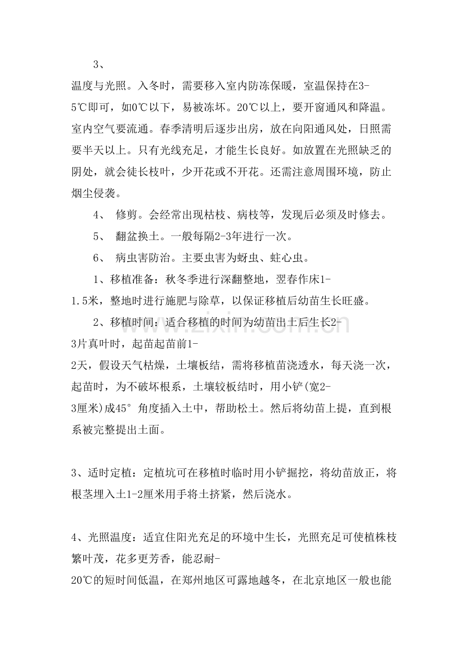 白兰花的栽培技术.doc_第2页