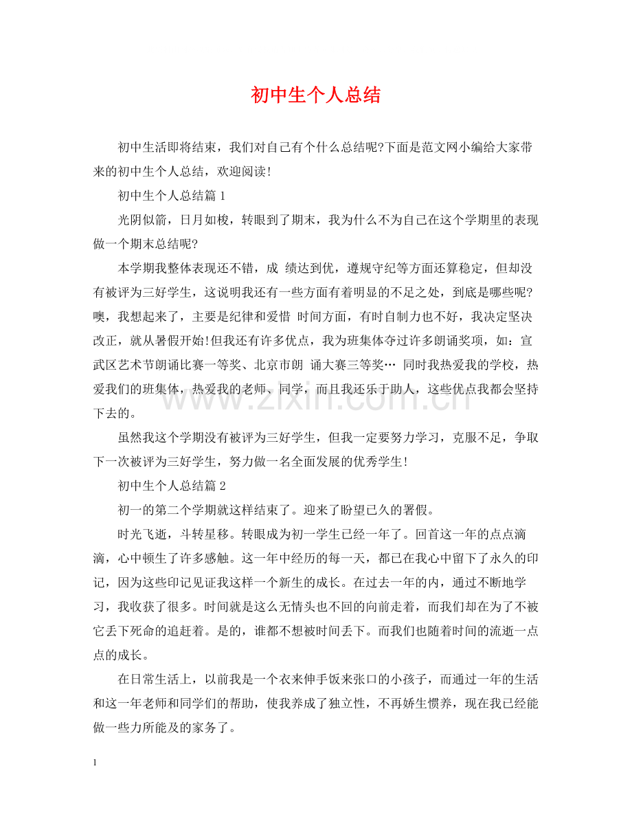 初中生个人总结.docx_第1页