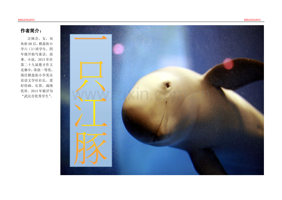 《一只江豚》.doc_第1页