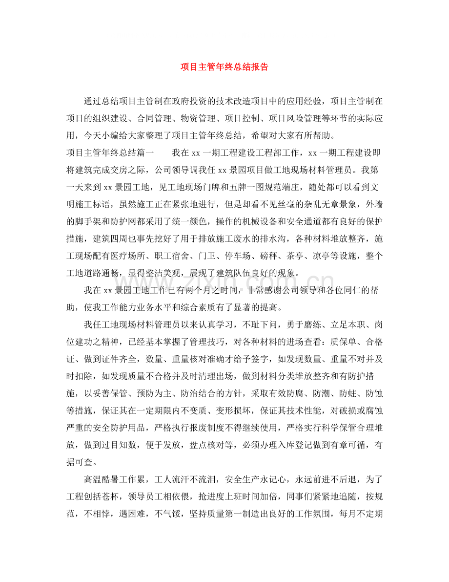 项目主管年终总结报告.docx_第1页