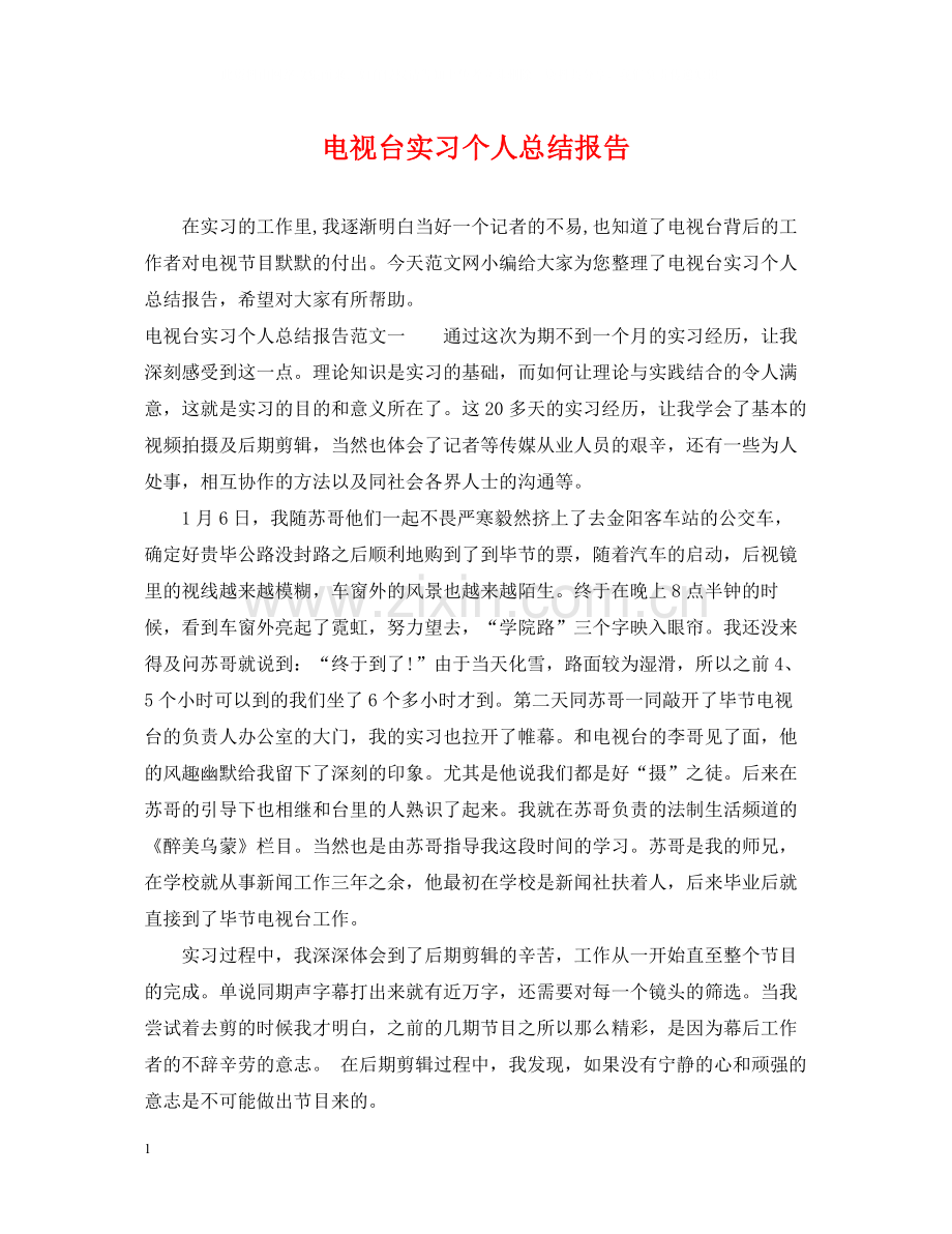 电视台实习个人总结报告.docx_第1页