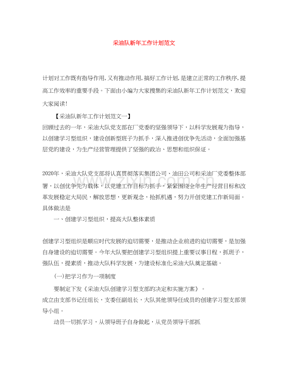 采油队新年工作计划范文.docx_第1页