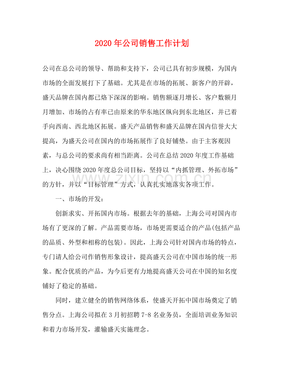 2020年公司销售工作计划.docx_第1页
