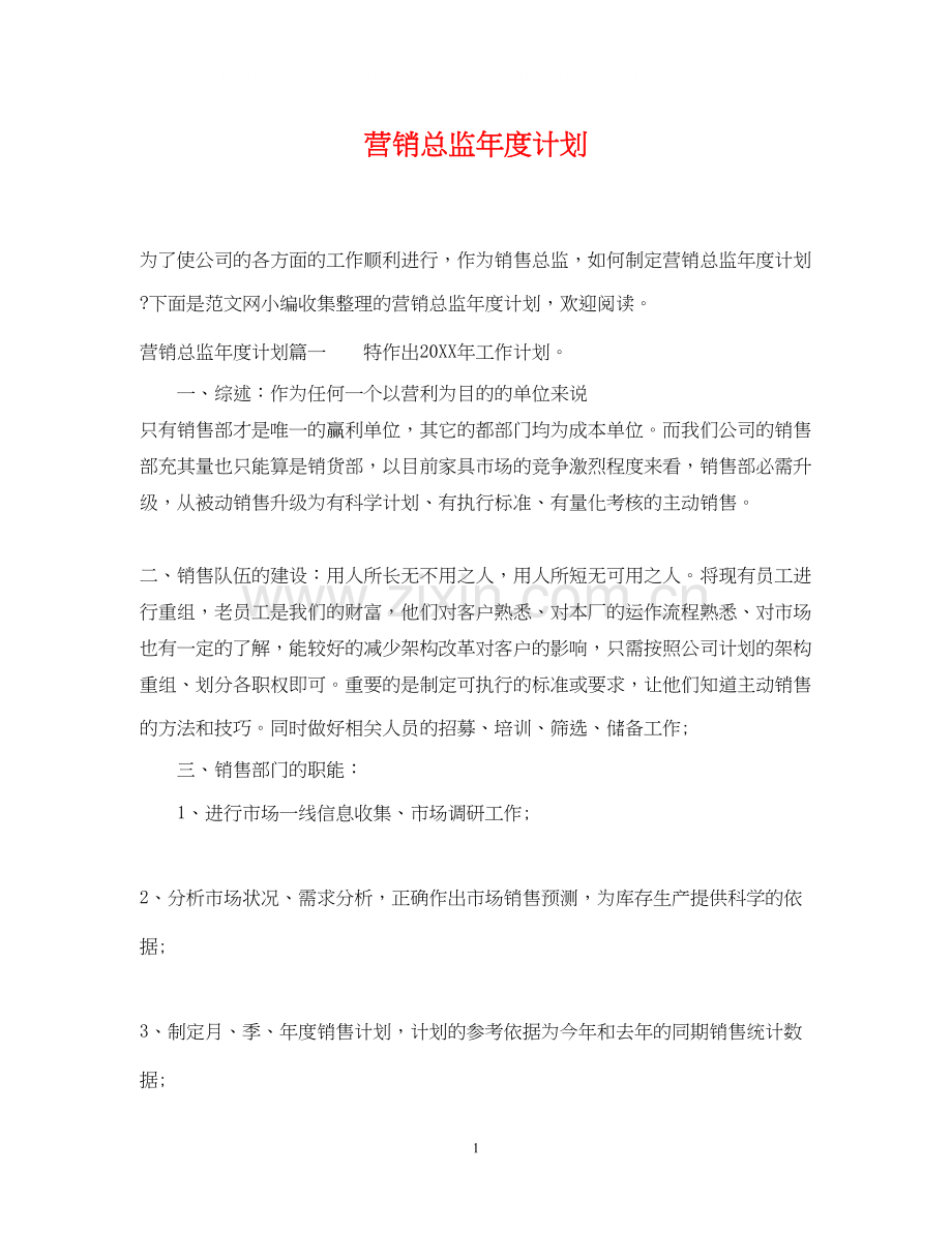 营销总监年度计划.docx_第1页
