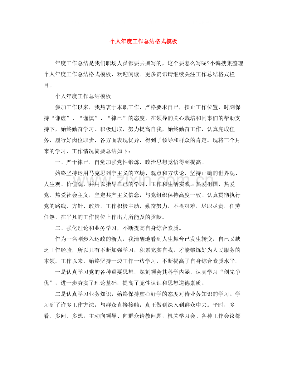 个人年度工作总结格式模板.docx_第1页