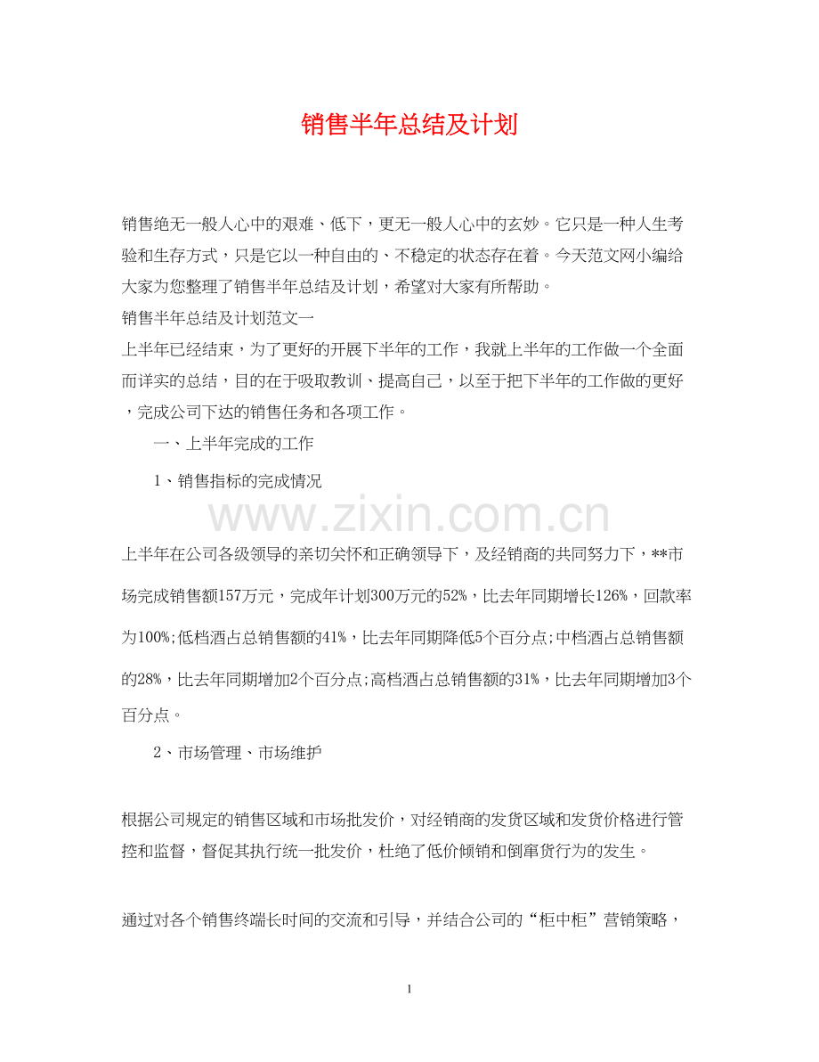 销售半年总结及计划.docx_第1页