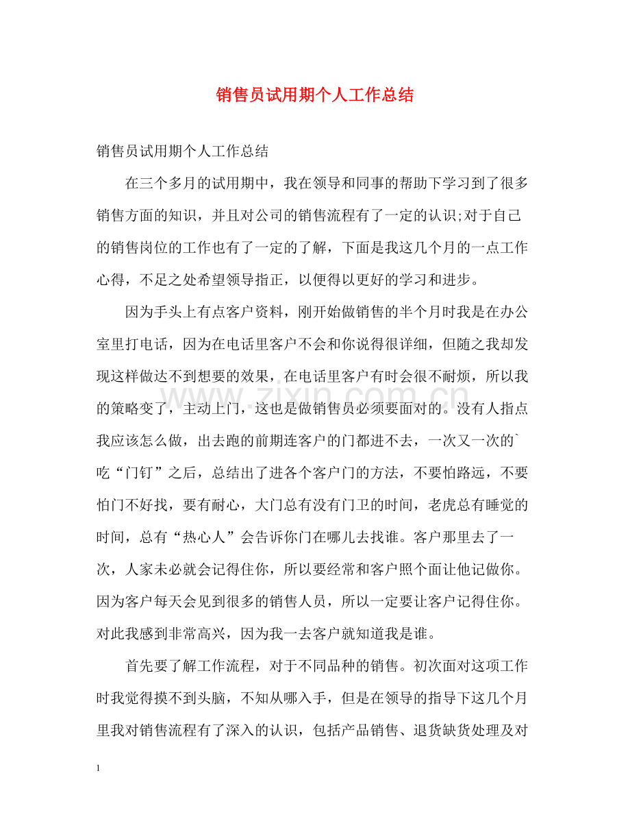 销售员试用期个人工作总结.docx_第1页