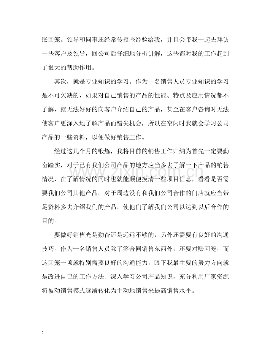 销售员试用期个人工作总结.docx_第2页