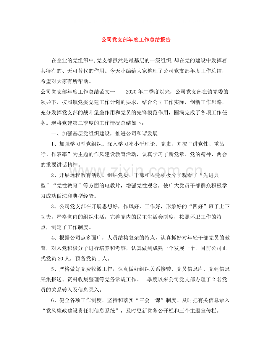 公司党支部年度工作总结报告.docx_第1页