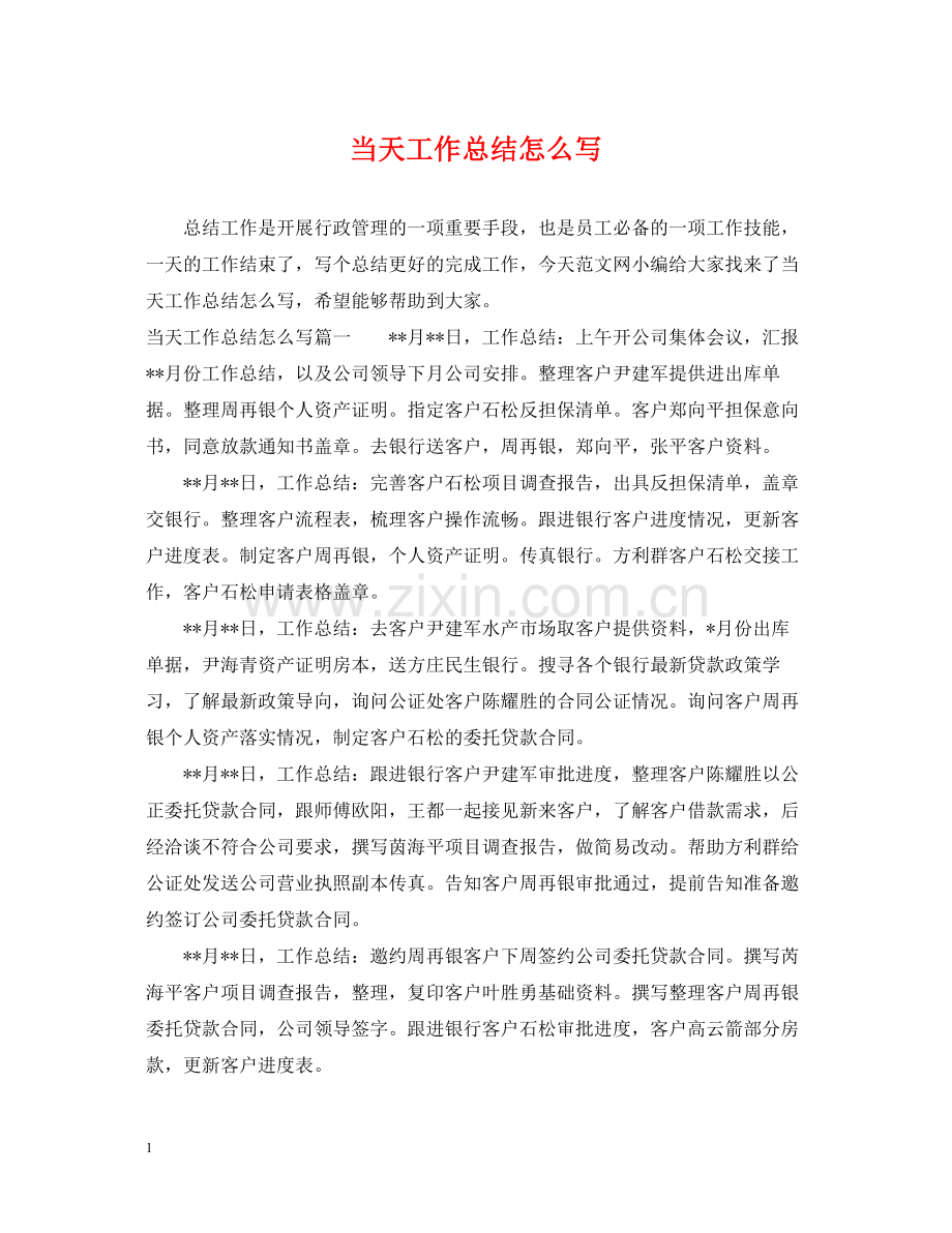 当天工作总结怎么写.docx_第1页