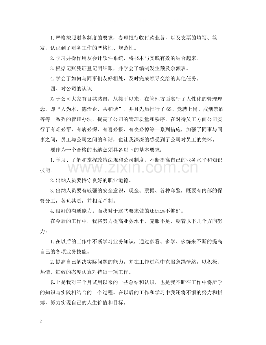 出纳试用期工作总结.docx_第2页