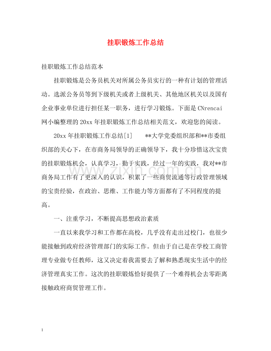 挂职锻炼工作总结2.docx_第1页