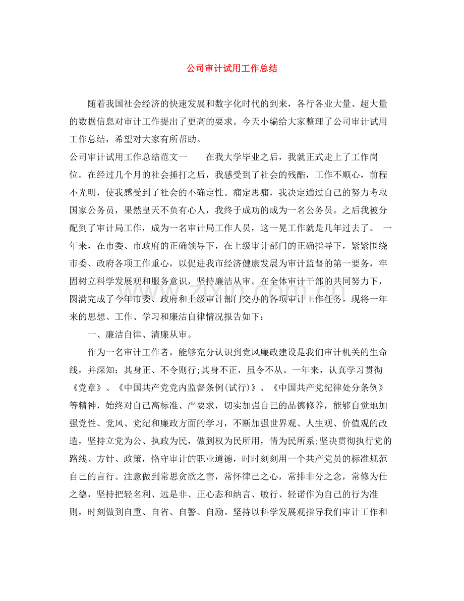 公司审计试用工作总结.docx_第1页