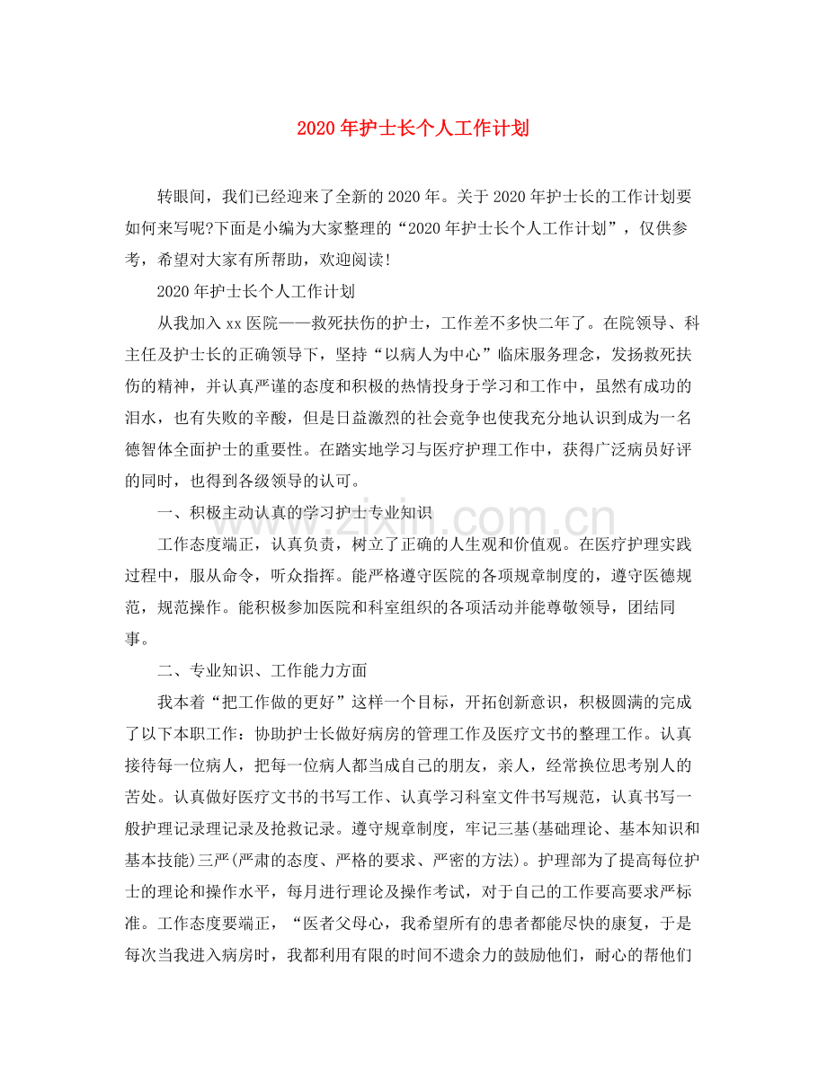 2020年护士长个人工作计划.docx_第1页