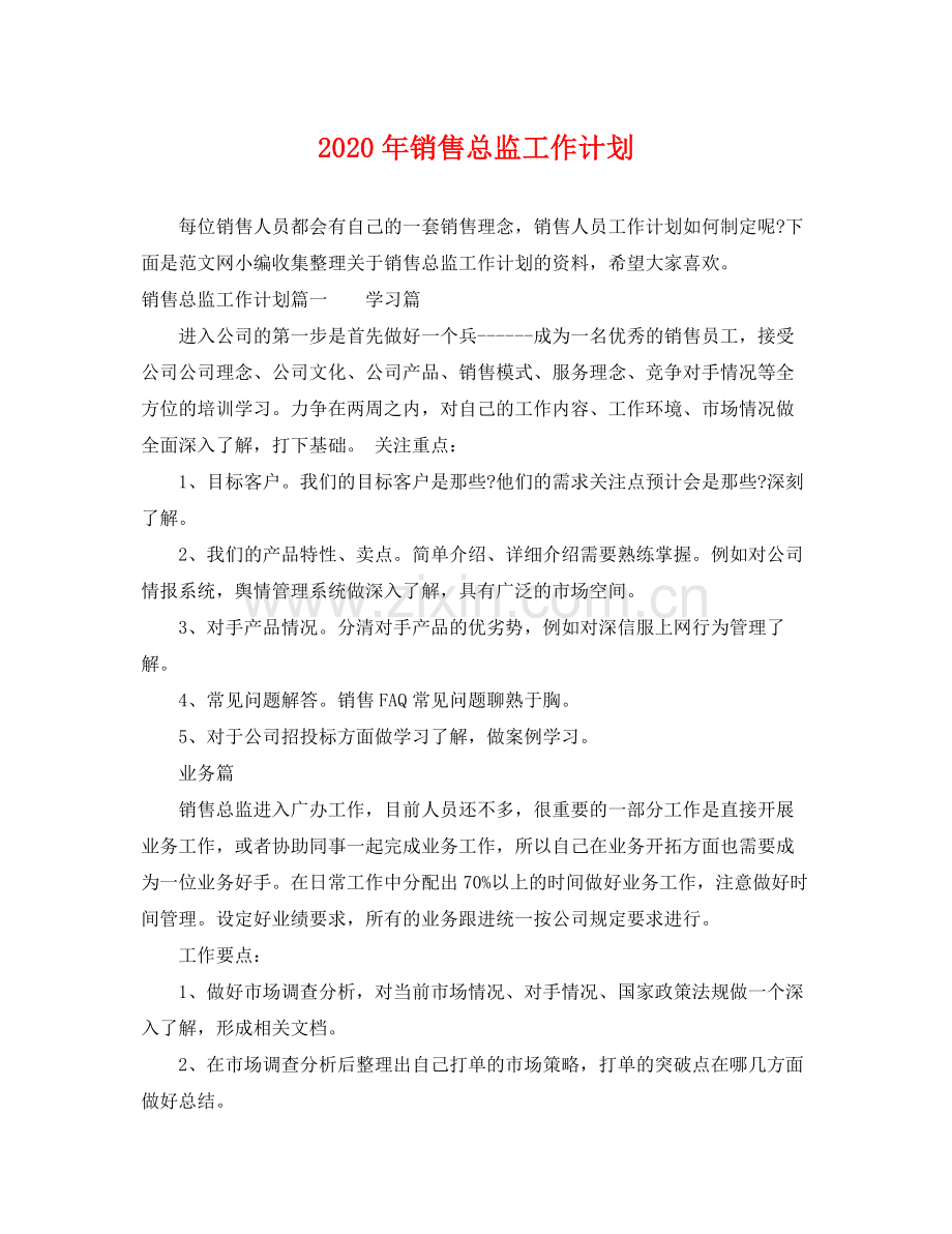 2020年销售总监工作计划.docx_第1页