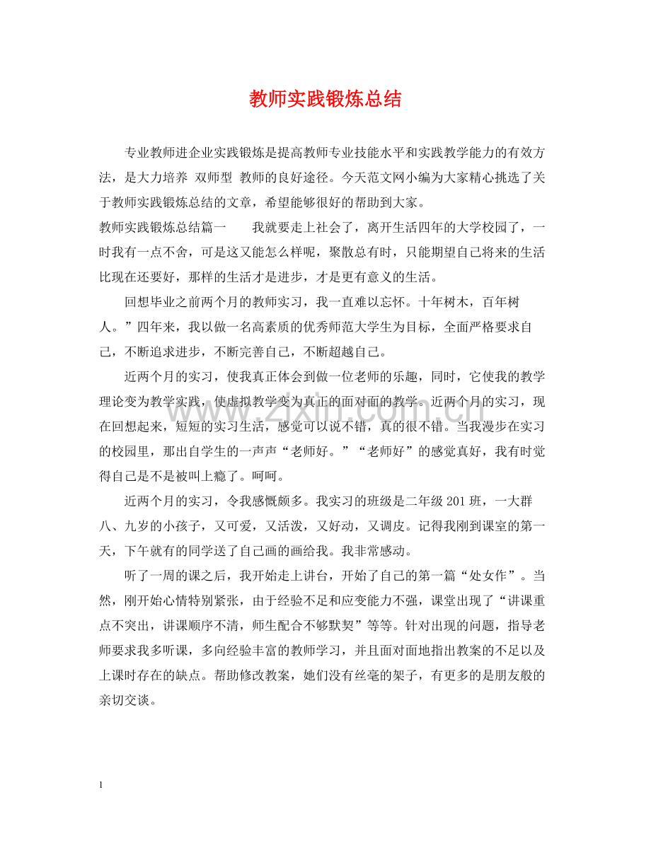 教师实践锻炼总结.docx_第1页