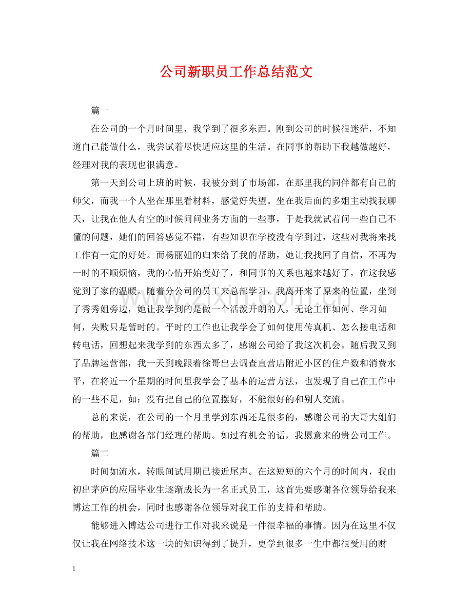 公司新职员工作总结范文.docx_第1页