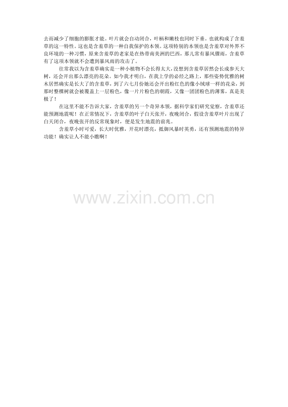 含羞草的观察日记三篇.doc_第2页