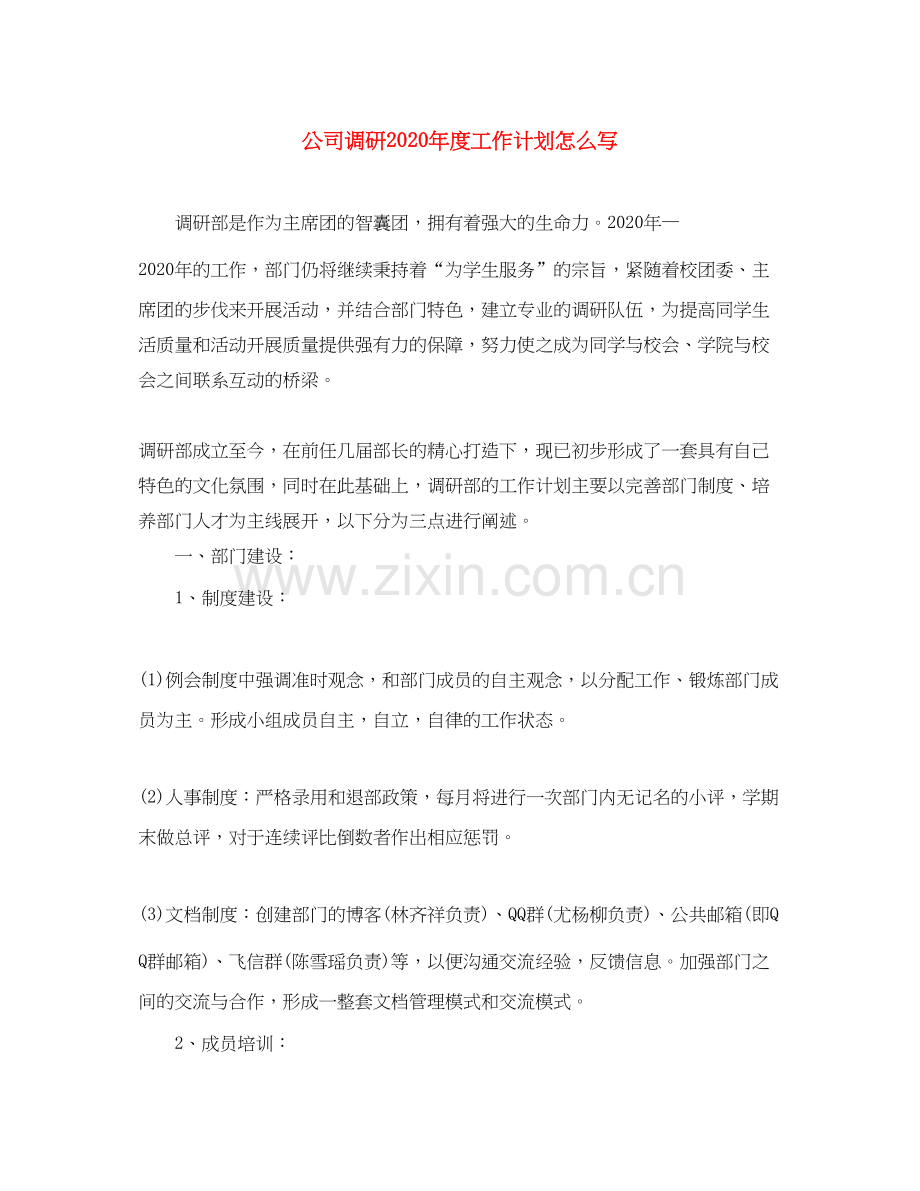 公司调研年度工作计划怎么写.docx_第1页