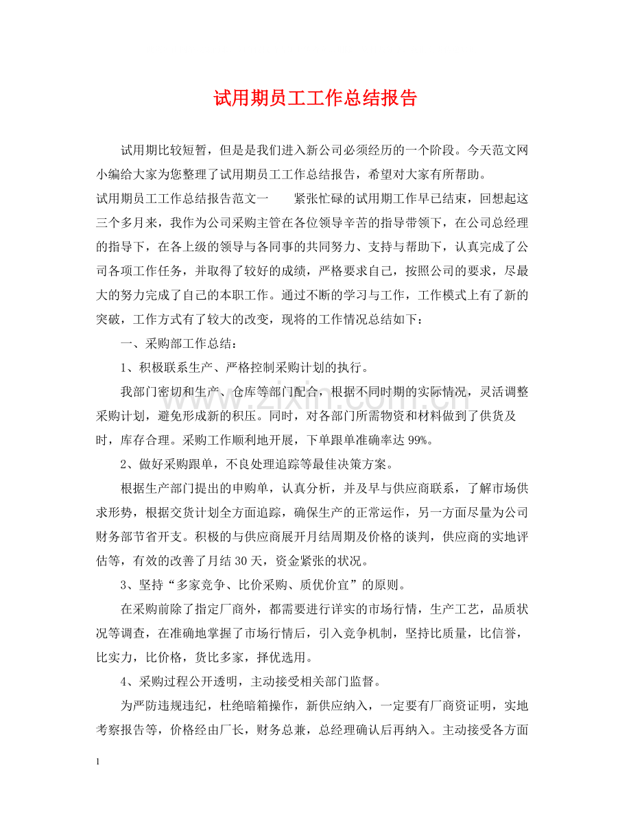 试用期员工工作总结报告.docx_第1页