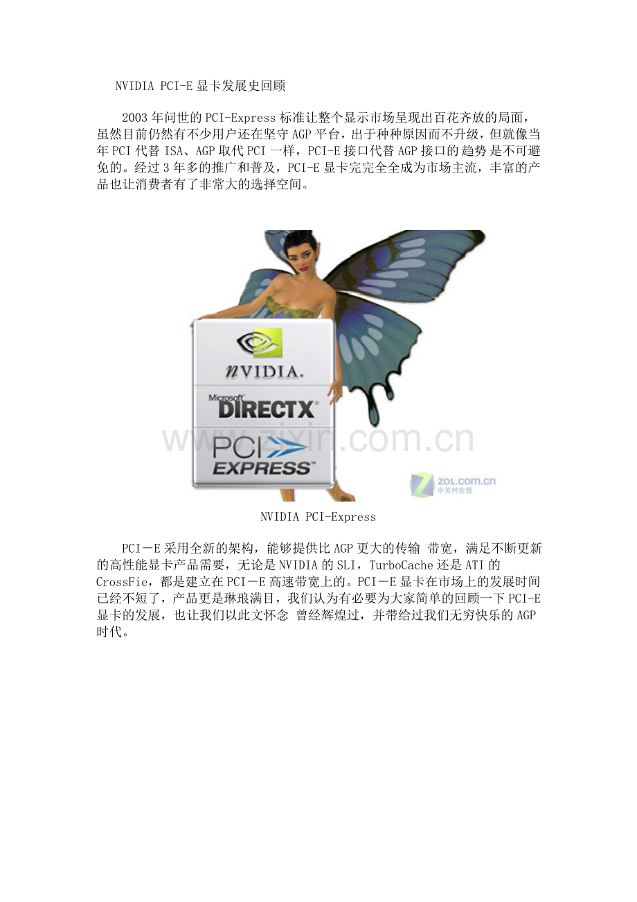 NVIDIA PCI-E显卡发展史.doc_第1页