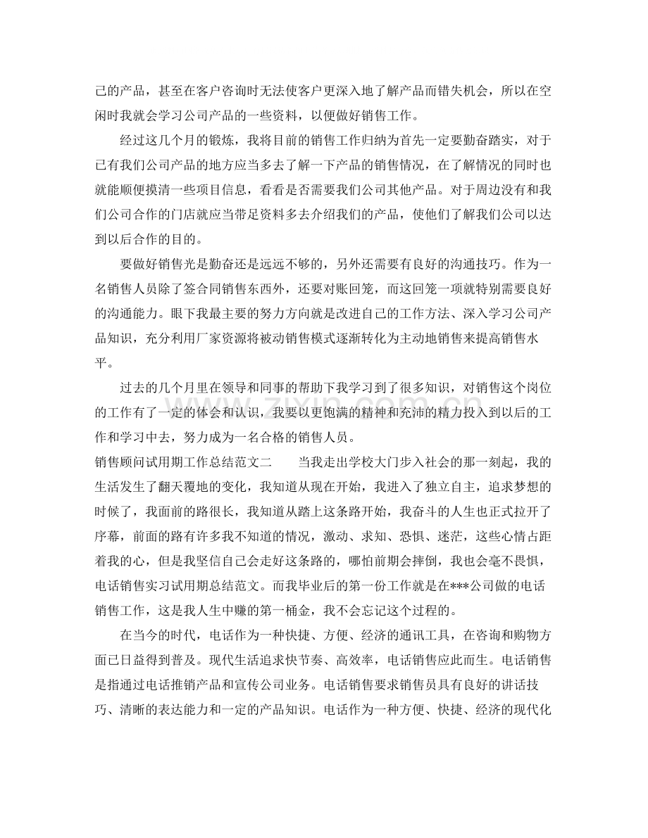销售顾问试用期工作总结.docx_第2页