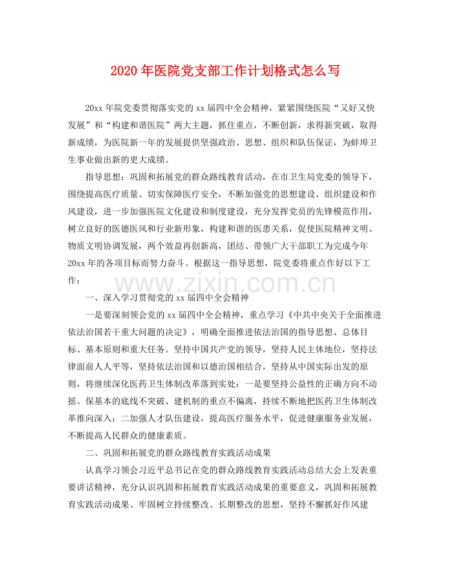 2020年医院党支部工作计划格式怎么写2.docx_第1页