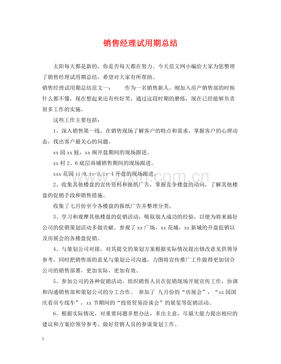 销售经理试用期总结.docx_第1页