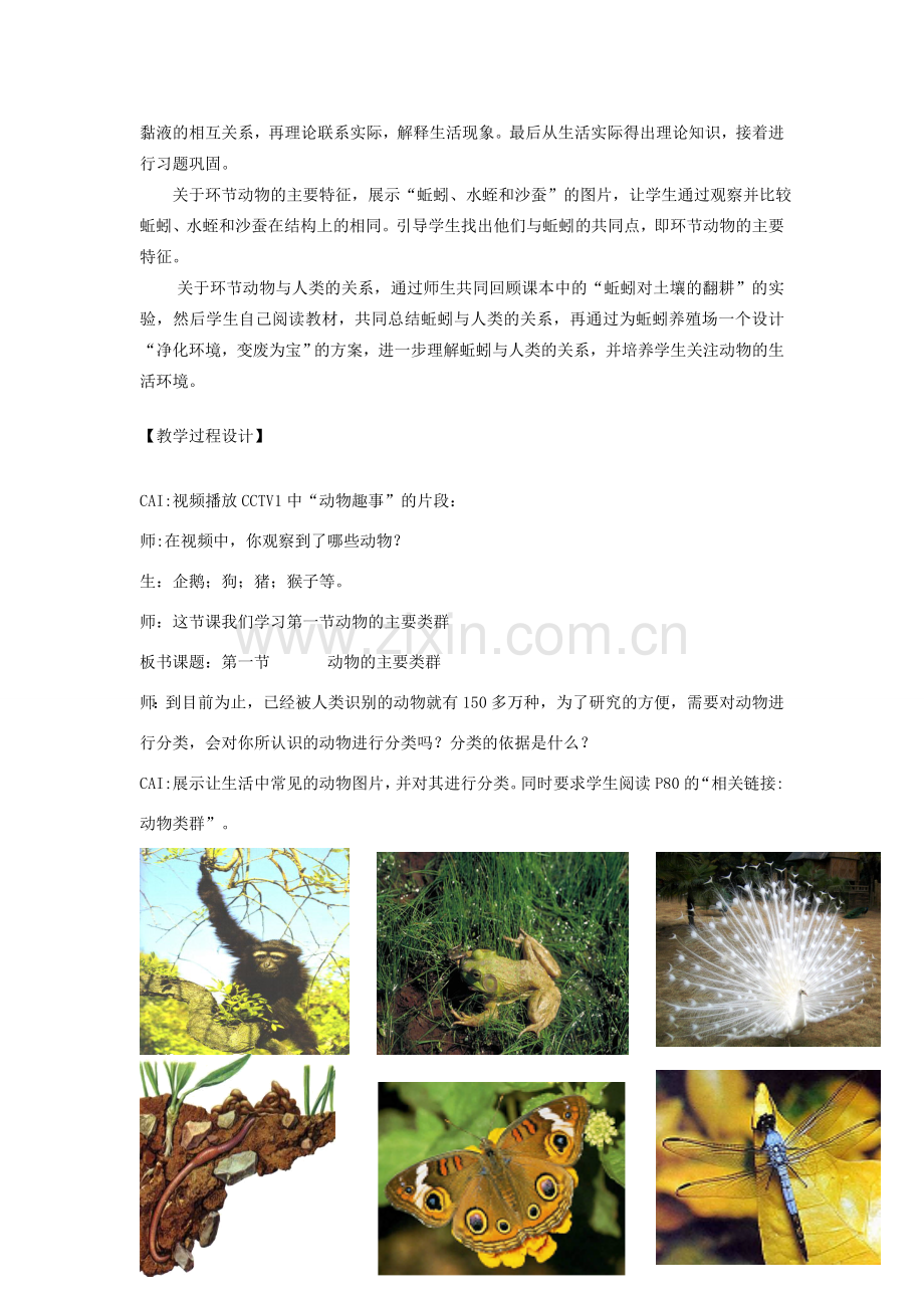 七年级生物上册 第二单元 第二章 第一节动物的主要类群教案 济南版.doc_第2页