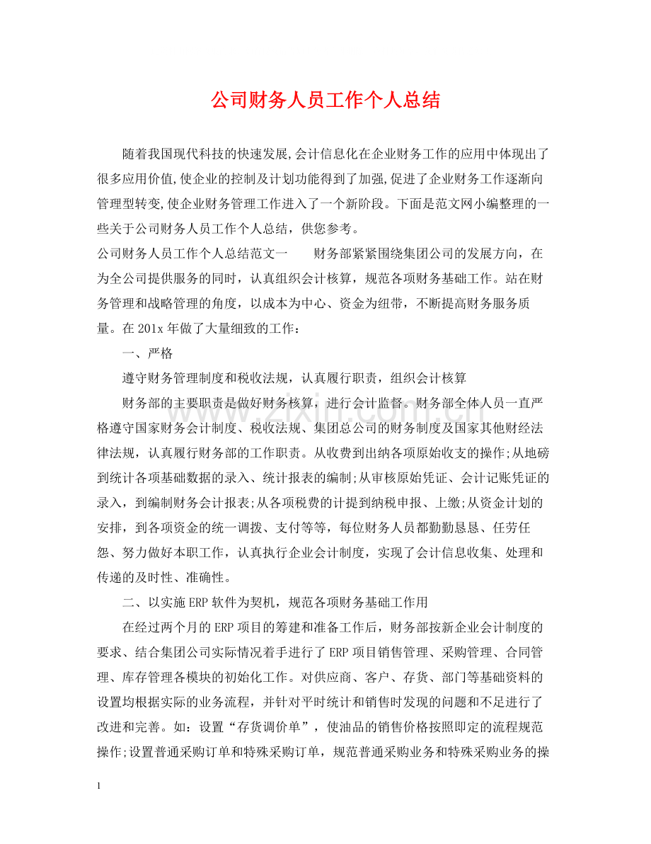 公司财务人员工作个人总结.docx_第1页