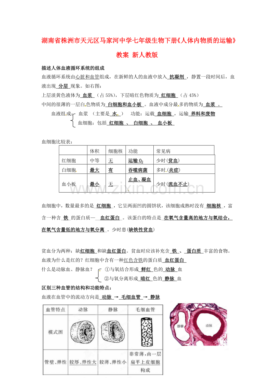 湖南省株洲市天元区马家河中学七年级生物下册《人体内物质的运输》教案 新人教版.doc_第1页