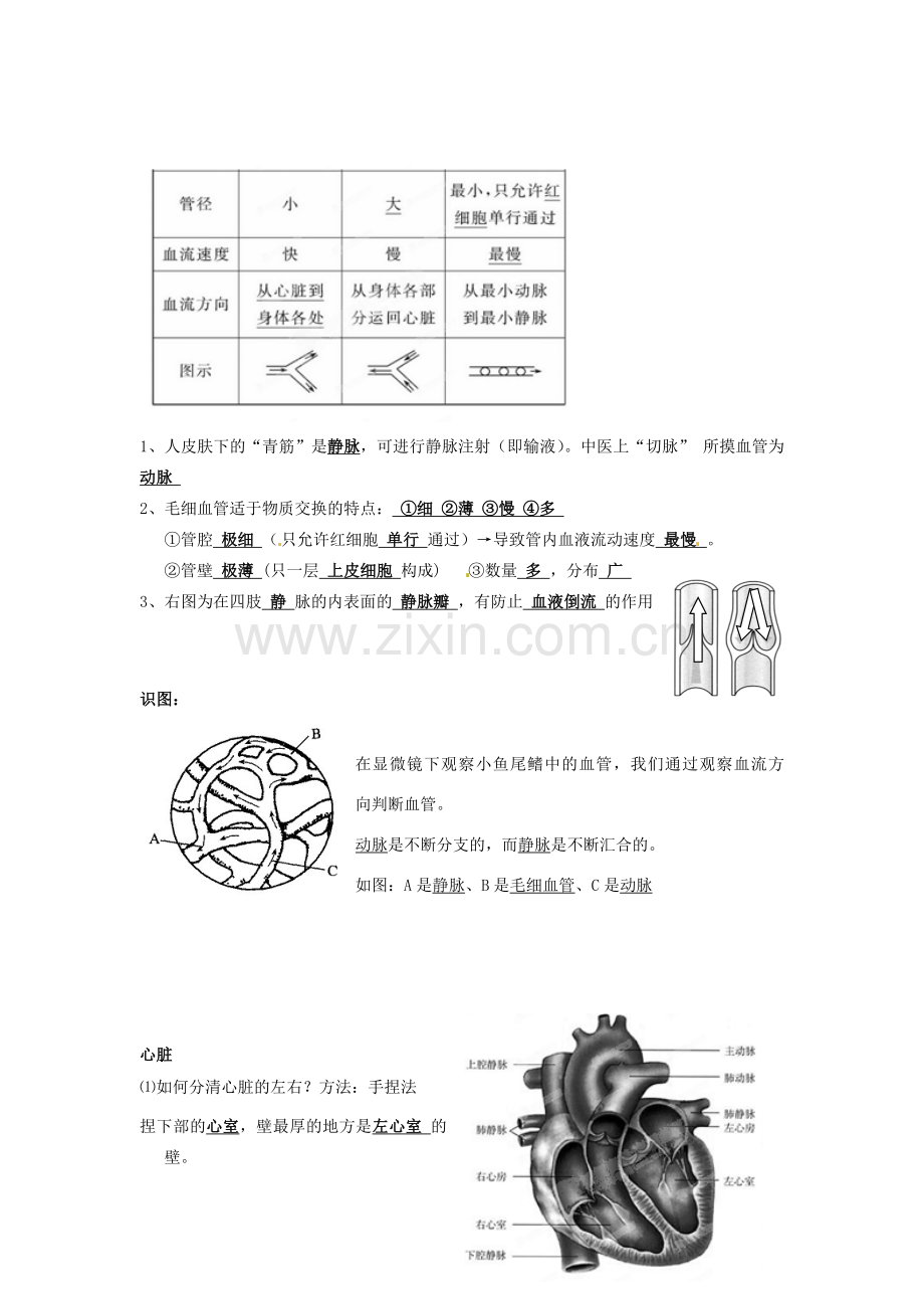 湖南省株洲市天元区马家河中学七年级生物下册《人体内物质的运输》教案 新人教版.doc_第2页