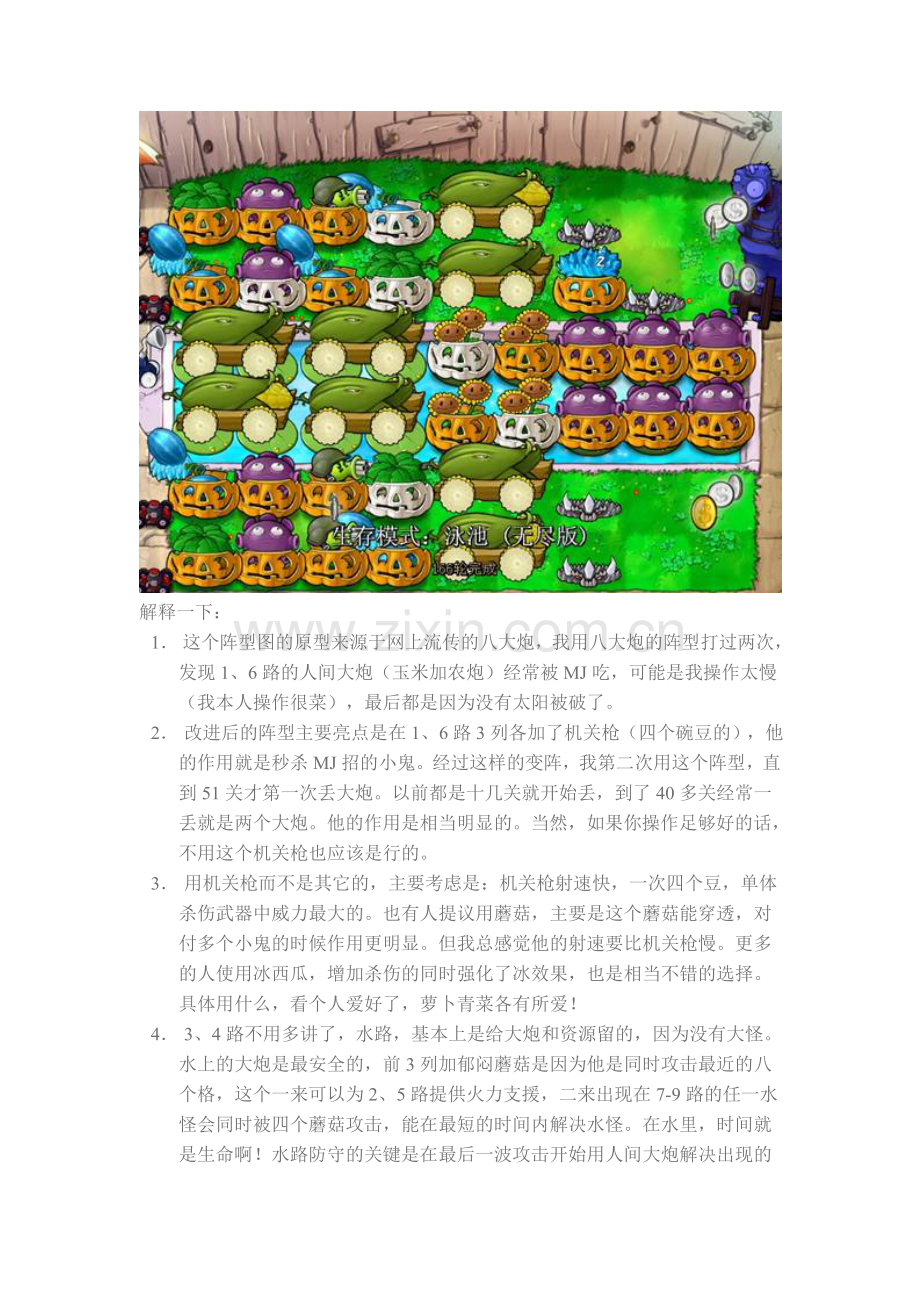 植物大战僵尸无限版攻略.doc_第2页