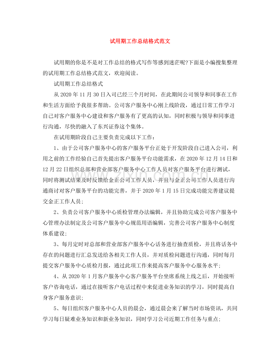 试用期工作总结格式范文.docx_第1页